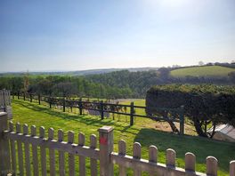 The view from the patio