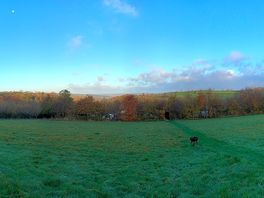 View from bertie van.