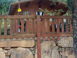 La cabaña de 10