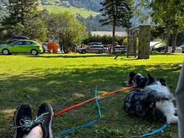 Dogs friendly place with perfect view