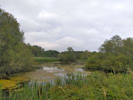 Walks nearby from site