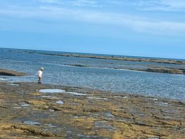 Day out to staiths