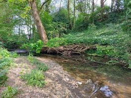 View of te stream