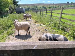 Monty and friends