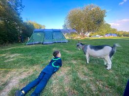 We loved the goats