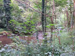 River flows nearby