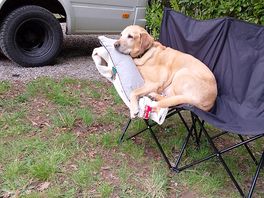 Let sleeping dogs lie