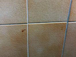 Faeces and blood on toilet walls