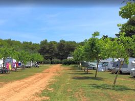 View of the pitches