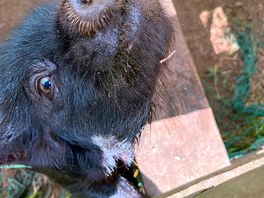 So friendly