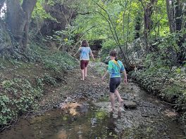 Stream