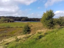 River esk dog walk 3