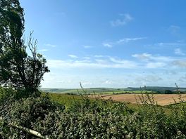 View from site
