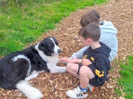 Benny the friendly sheep dog!