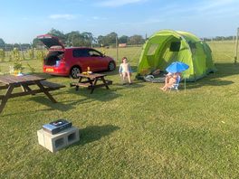 Our pitch