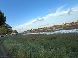Low tide