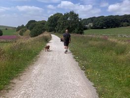 Tissington trail