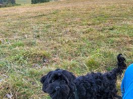 Ted's first camping trip