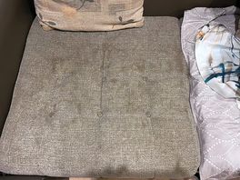 Just another sofa cushion
