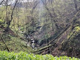Views on the walk from grandtully to aberfeldy
