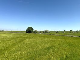 Rural scenery