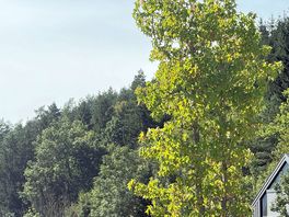 Ein traum