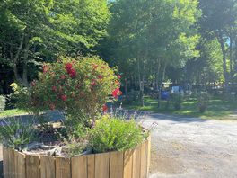 Campsite