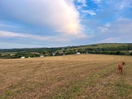 The field