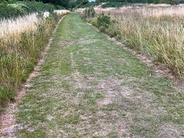One of the walking routes