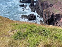 View from pembrokeshire coastal path