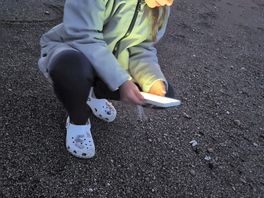 Starfish 🥰