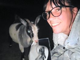 Beer with a goat 😅