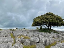 Newbiggin craggs
