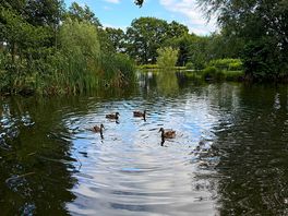 Lovely lake on the campsite