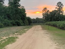 Access road to the RV sites