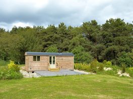 Shepherd's hut on a pitch sheltered by trees