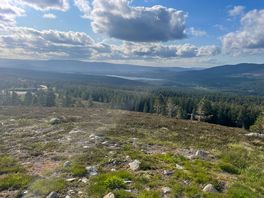 View to aviemore