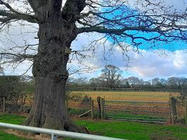 Working farm