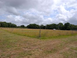 Seperate areas for tents and campervans