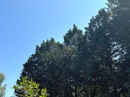 Clear skies