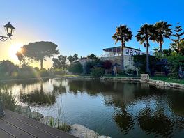 Naturschwimmteich/pool