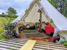 Holly Bush tent