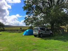 Roomy pitch
