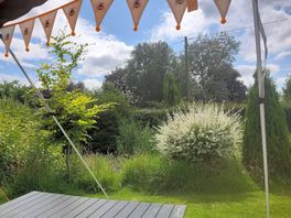 Watching the ducks and huge dragonflies