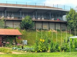 Blick auf garten und gebäude