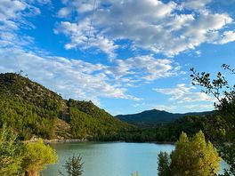 Camino hacia el lago
