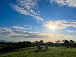 Beautiful morning
