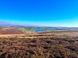 Wild and windy wuthering moors