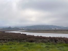 Bird sanctuary and off in the distance is portugal