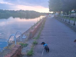 The river